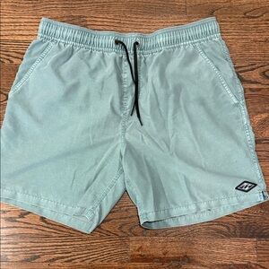 Men's Swim Trunks in Seafoam Green laid back Larry